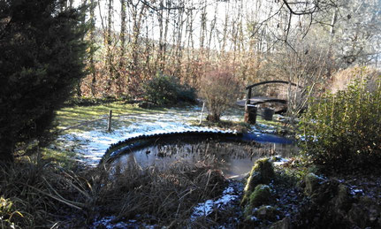 Japanese garden at the Arboretum du Tuffeau
